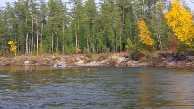 Чара. Сплав от устья Среднего Сакукана в село Чара. Сентябрь 2020 г. смотреть онлайн