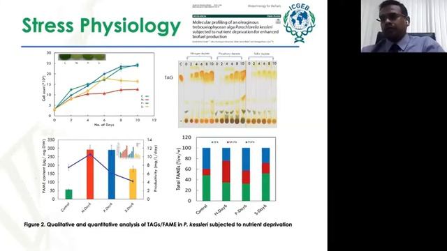 Shaping the Future Virtual Seminar on the Production of 4th Gen Biofuels смотреть онлайн