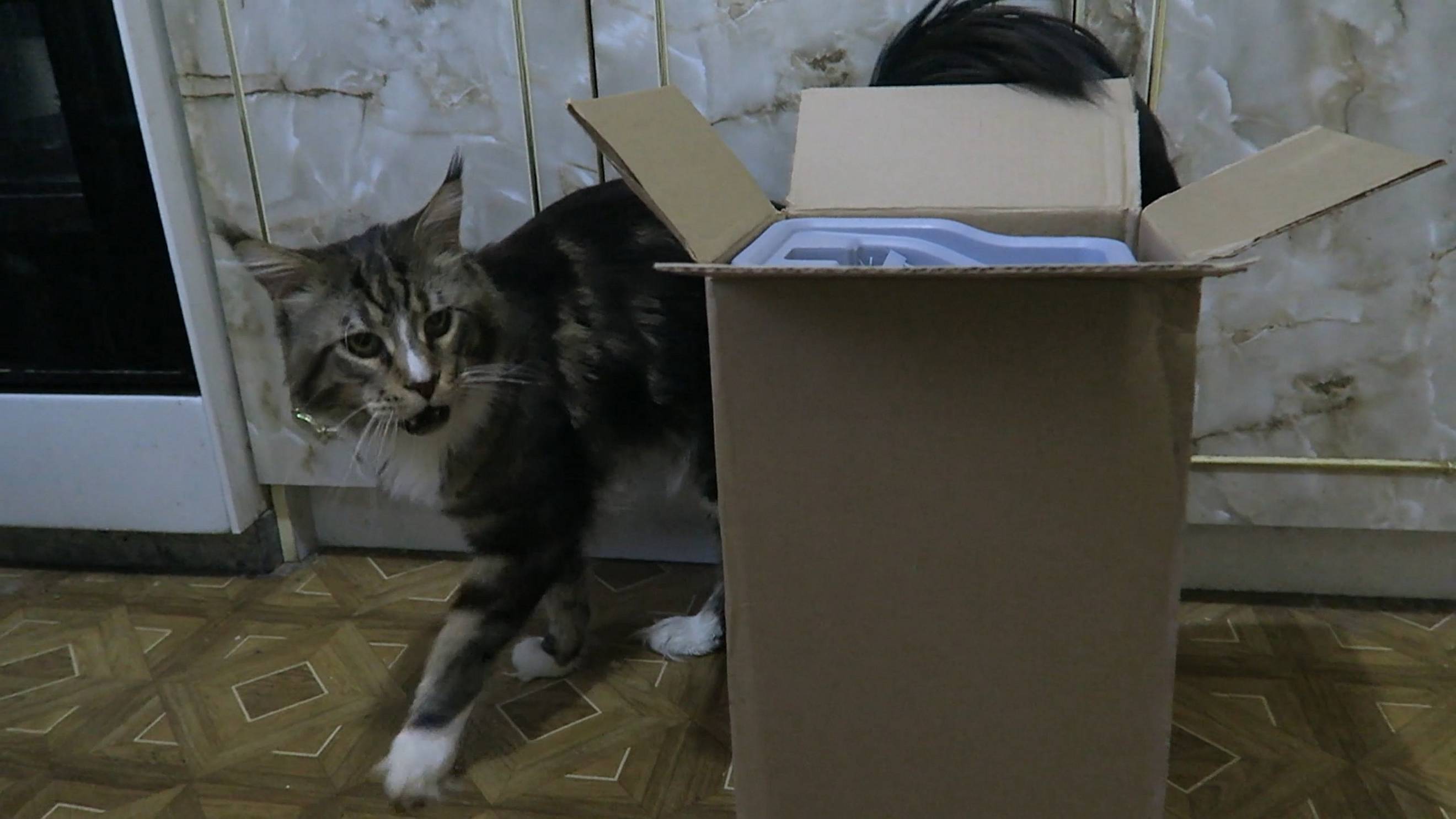 Новая коробка смотреть онлайн