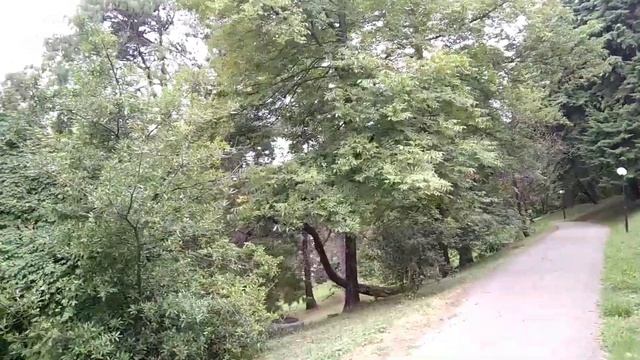 Сочи сегодняl В своих путешествиях забрались на самый верх и увидели много интересногоl Дендрарий смотреть онлайн