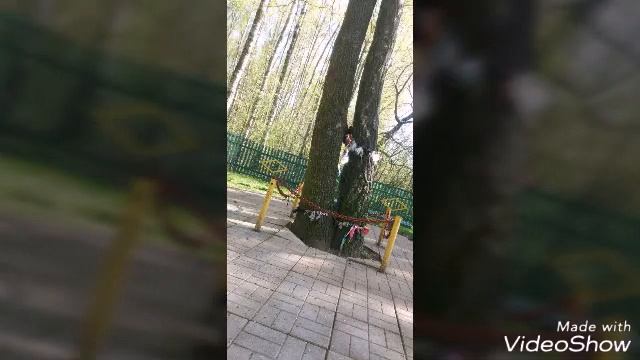 Фотографируемя в санаторий случь смотреть онлайн
