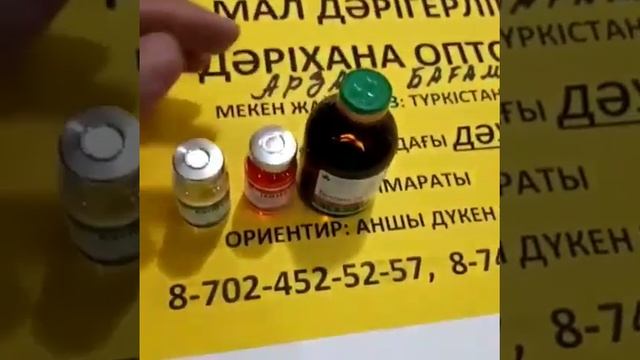 иттің чумкасын емдеу. Лечим собаку от чумки смотреть онлайн