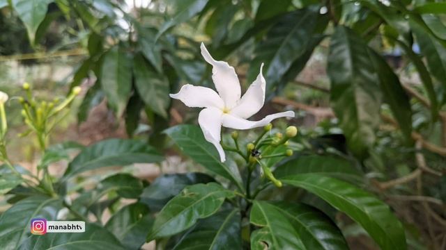 Google Camera 8.0 Camera Sample From POCO F1 + Download Link For GCam 8.0 MOD