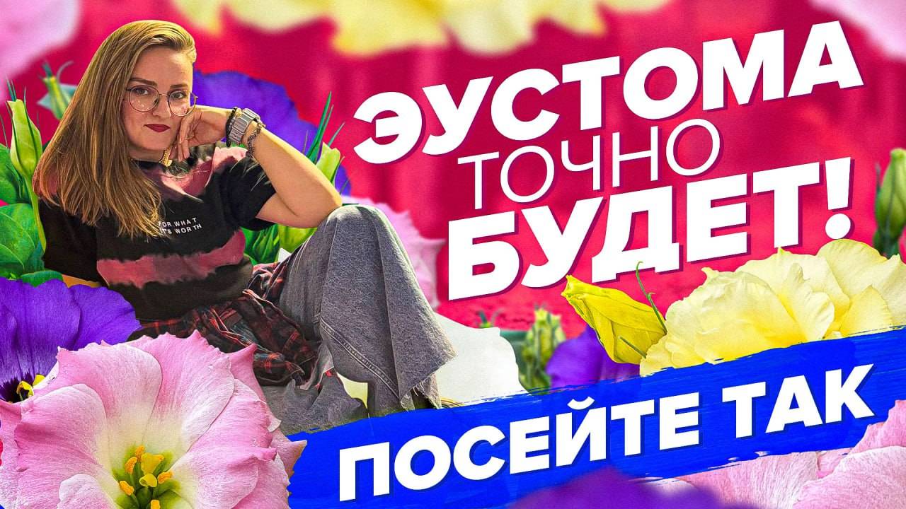 ВСЕ О ПОСЕВЕ ЭУСТОМ. ЭУСТОМЫ ТОЧНО ВЗОЙДУТ смотреть онлайн