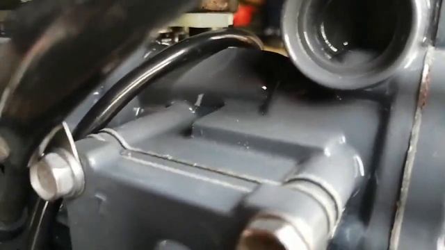 TARPON 9.8 - первое знакомство. Распаковка и осмотр после покупки. смотреть онлайн