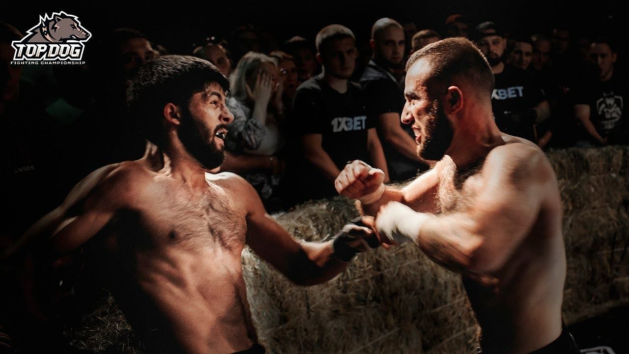 Явуз "Львиное Сердце" vs. Офарид Назарбеков/ TDFC 4/ бой на голых кулаках смотреть онлайн