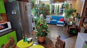 Новогодняя Ёлка цветовода