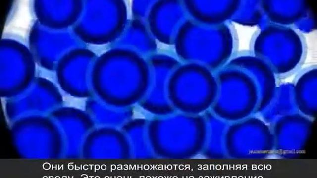 Пластический хирург Натан Ньюман Технологии будущего Люминес Омолаживание смотреть онлайн