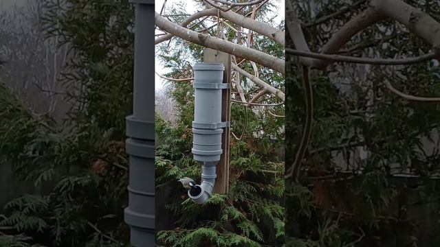 Наступают холода! Пора вешать кормушки для птиц! смотреть онлайн