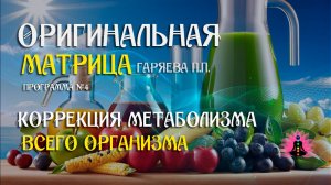 Коррекция общего обмена веществ и работы пищеварительного тракта» Программа №4 ⚠️  SoftRadio ru