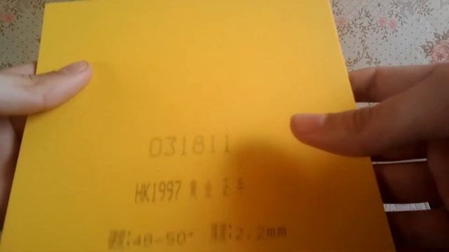 ОБЗОР НАКЛАДКИ Palio HK 1997