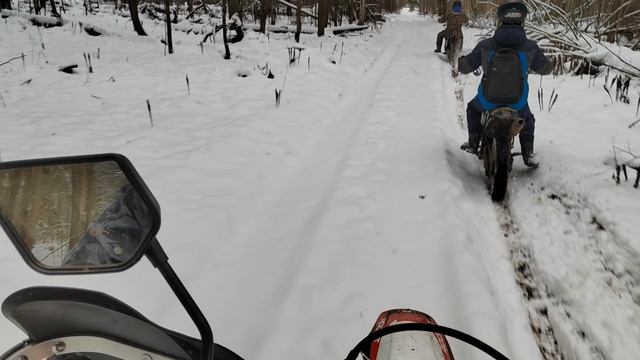 Миша смотри! смотреть онлайн