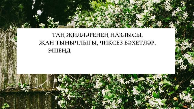 Ясминә җаным, туган көнең белән сине! смотреть онлайн