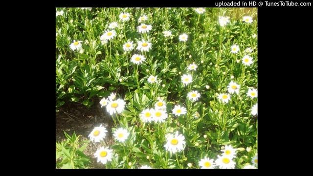 ROCK + EXPERIMENTAL + SUMMER TYPE BEAT +antarctida+ || Prod. Floxx.