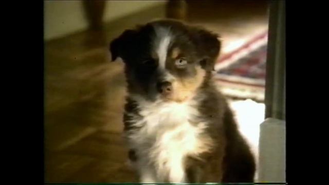 Retro Commercials Sensodyne, Sesame Street 1-2-3 Melody Keys, Sega Saturn Fighting Vipers, Pringles смотреть онлайн