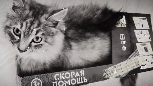 Antony Berg - Скорый Томик