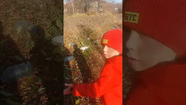 сосед смотреть онлайн