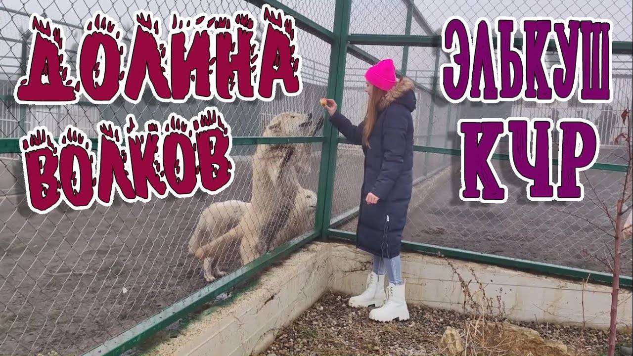 ДОЛИНА ВОЛКОВ В СЕЛЕ ЭЛЬКУШ смотреть онлайн