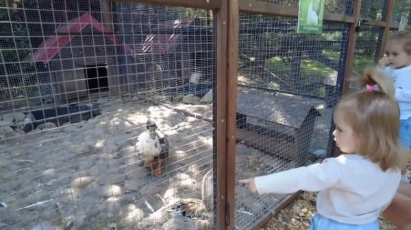 ЧЕЛЛЕНДЖ | ДОЧКА ДЕЛАЕТ ВСЁ ЧТО ЗАХОЧЕТ 24 ЧАСА