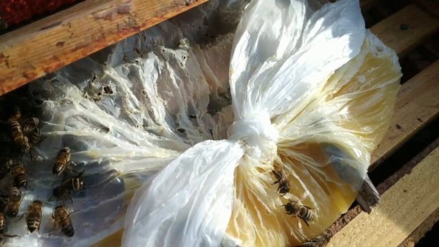 Контроль кормов! осмотр семей. Пчеловодство / Beekeeping. смотреть онлайн