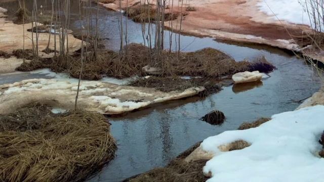 #taleforhelen Поющие ручьи. Красивая музыка для души и отдыха. смотреть онлайн