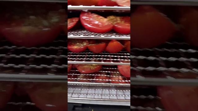 Вяленные помидорчики -Дегидратор Kitfort Kt - 1908 #kitfort #kitfortkt #китфорт #KitfortKT-1908