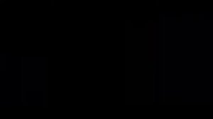 Alex Ferrari   Bara Bara Bere Bere Official Video   YouTube