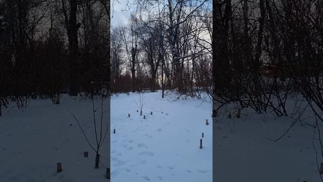 Капиталисты основные спонсоры пропаганды мотивации