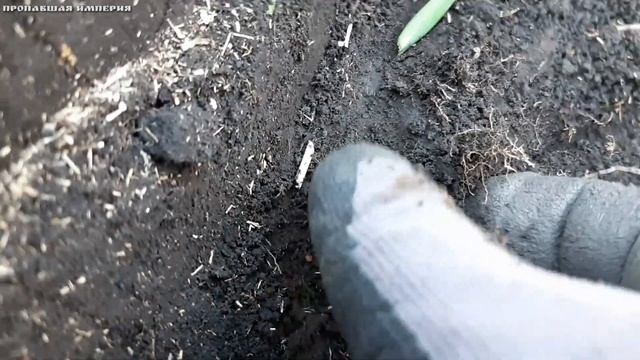 Спонтанный выезд в майскую жару. смотреть онлайн