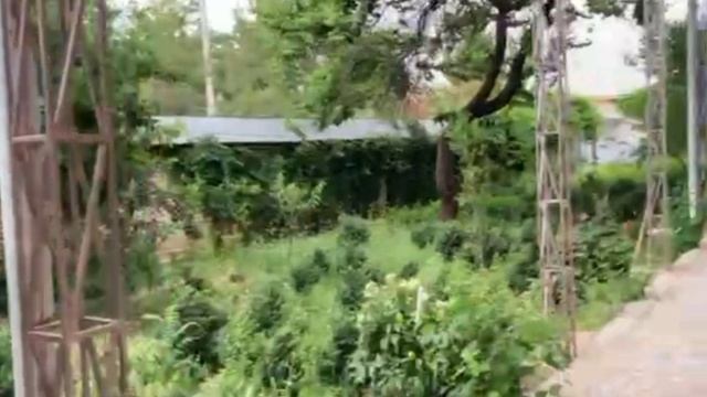 28 апреля 2024 г. смотреть онлайн