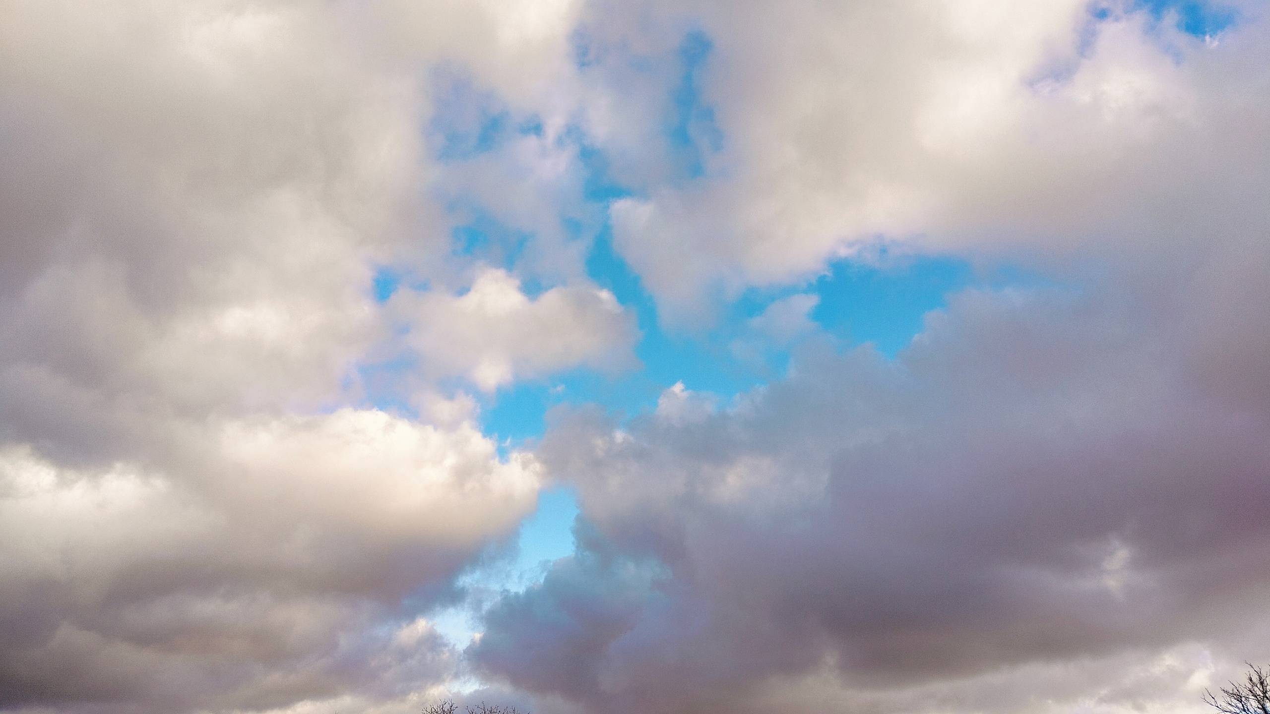 Будни станичников.Семь раз отмерь...Вот это столешница! смотреть онлайн