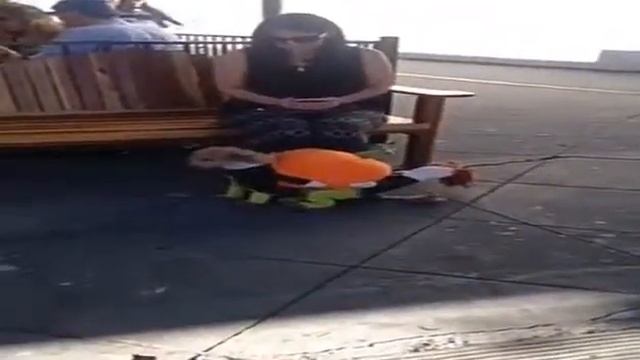 Костюм и собака смотреть онлайн