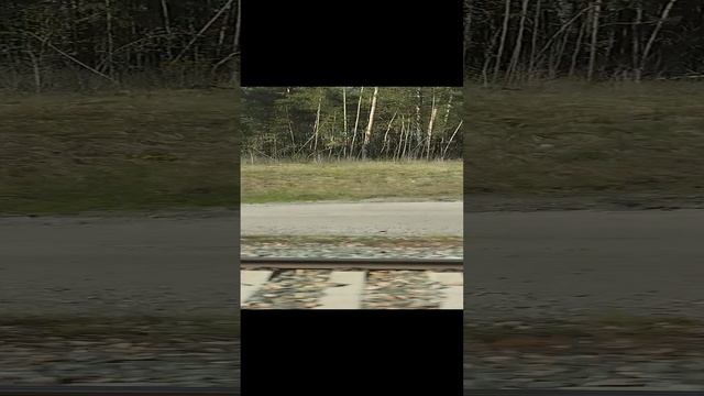 30 июля 2024 г. смотреть онлайн