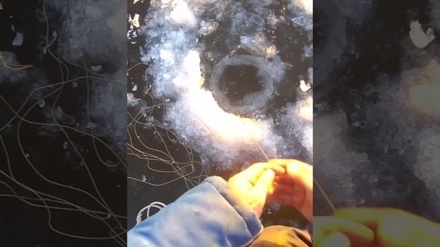 ПЕРВЫЕ ЩУКИ ЗИМНЯЯ РЫБАЛКА смотреть онлайн