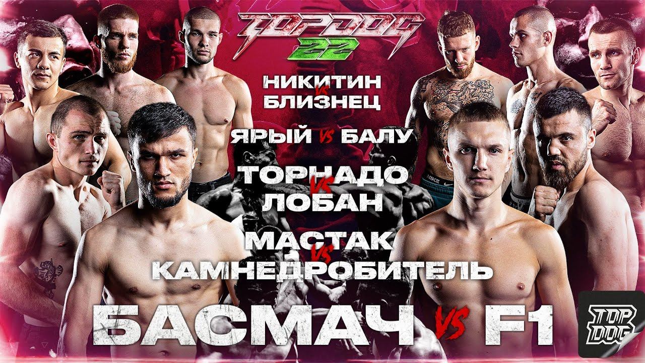 Никитин - Близнец, Торнадо - Лобан, Басмач - F1, Ярый - Балу, Мастак - Камнедробитель | TOP DOG 22 смотреть онлайн