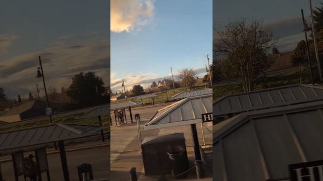 #albany #oregon #travel #train #usa #amtrak ##trainstation #tourist #traintrip смотреть онлайн