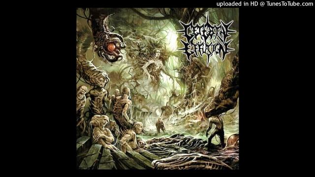 Cerebral Effusion - Ominous Flesh Discipline (Full Album 2021) смотреть онлайн
