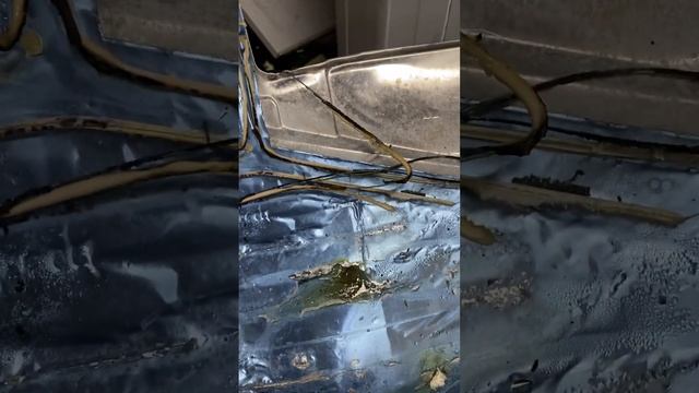 Как сжечь дом после ремонта холодильника смотреть онлайн