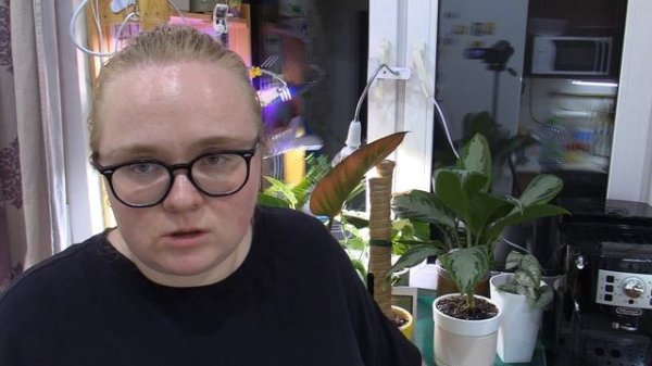 Семавик 3 месяца спустя