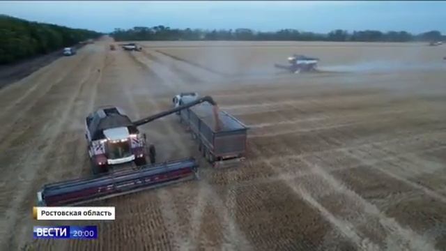Уборка 2024. 11 300га. 78,86ц/га. Закончили ! смотреть онлайн