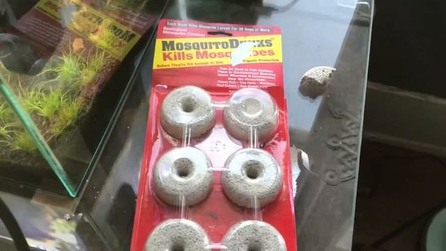 How to get rid of mosquito larvae in your fish tank смотреть онлайн