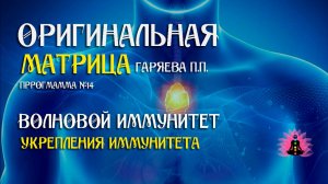 Волновой иммунитет - против вирусов» Программа №14 ⚠️ Оригинальная программа матрица ☀️ SoftRadio.ru