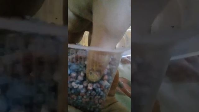 Красители для слаймов смотреть онлайн