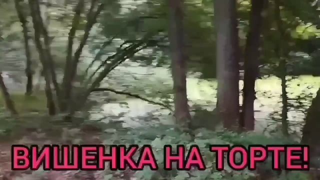 А ЗАД ЖИВЁТ СВОЕЙ ЖИЗНЬЮ. ПИРАТСКАЯ ЖИЗНЬ. ОБЗОР. смотреть онлайн