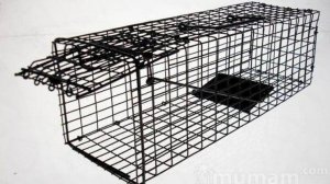 Как пользоваться кошколовкой ( котоловкой). Приют. Петербург