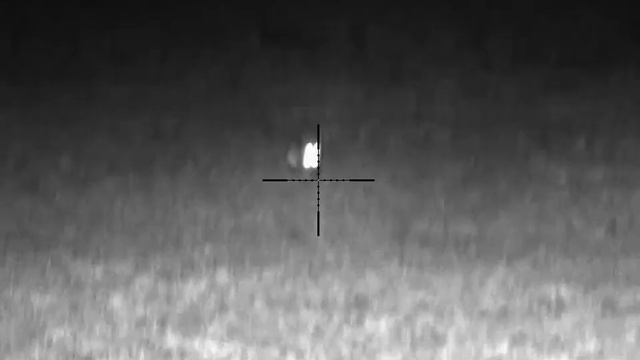 Fox Hunting - Pulsar Digisight Ultra N455 смотреть онлайн