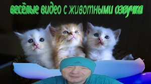 Удивительные животные выпуск длинный