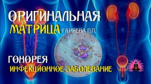 Гонорея⚠️ Оригинальная программа матрица по технологии Гаряева ☀️ SoftRadio.ru
