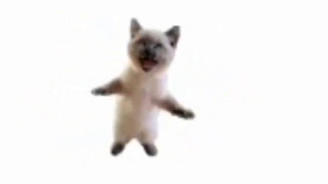 шни шна шнапи шнапи шнапи шнап 3