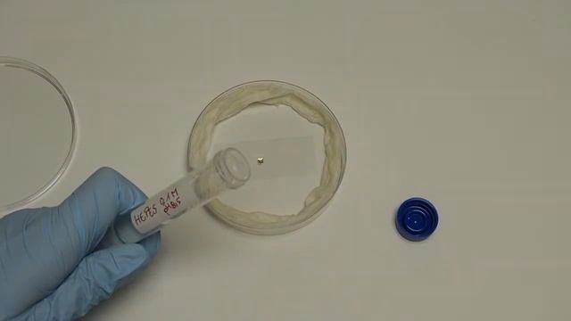 Tutorial Video: Preparing EM grid for micropatterning with PRIMO смотреть онлайн